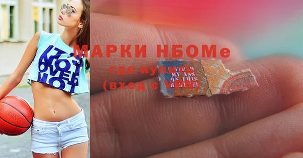 прущие грибы Волосово