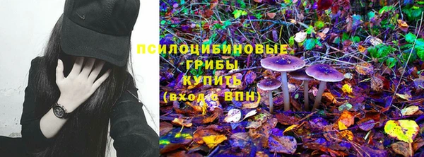 прущие грибы Волосово