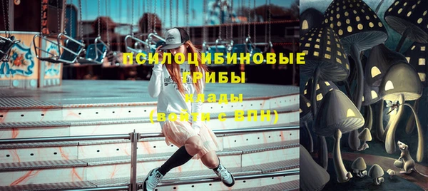 ешки Вяземский